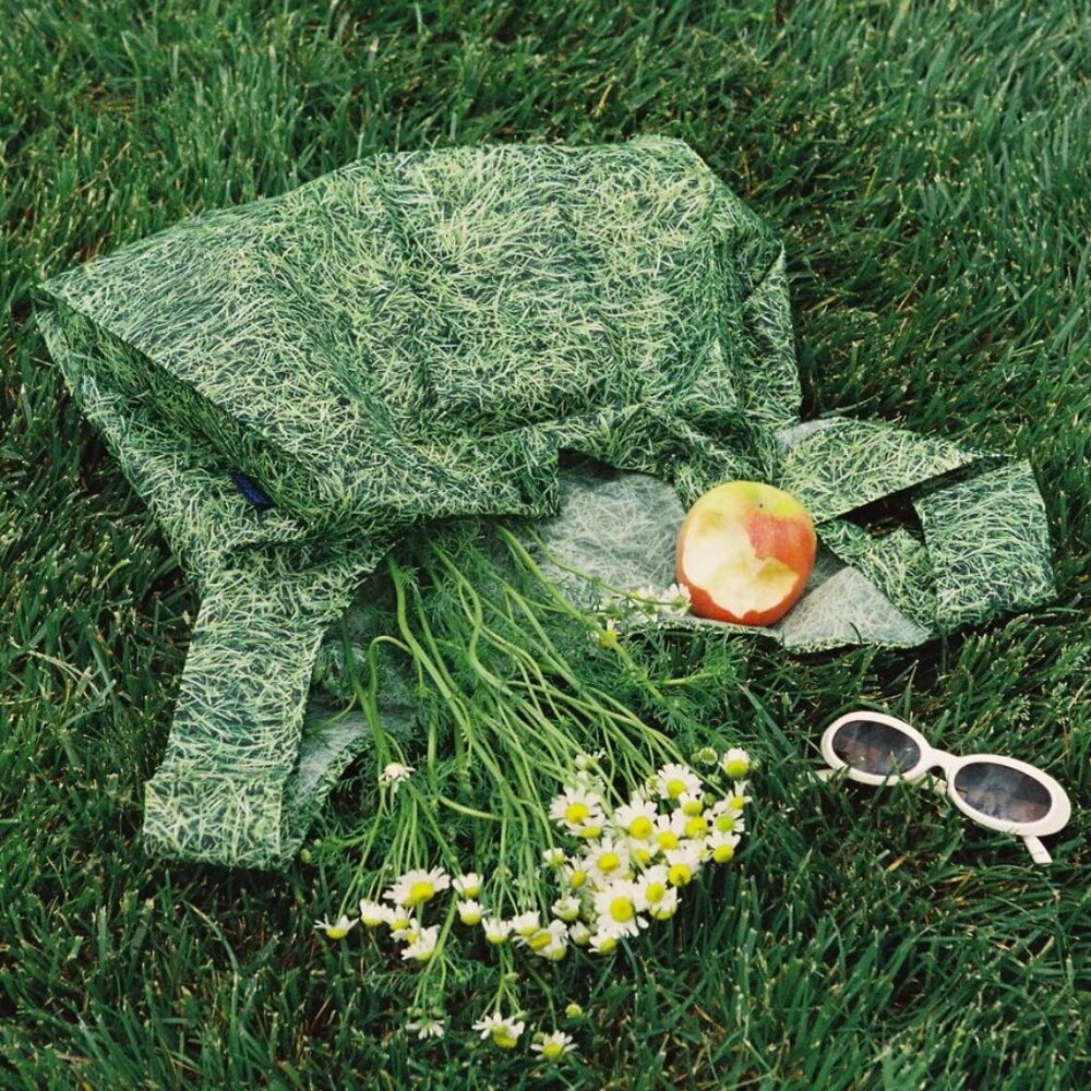 NWT Standard Baggu - Grass